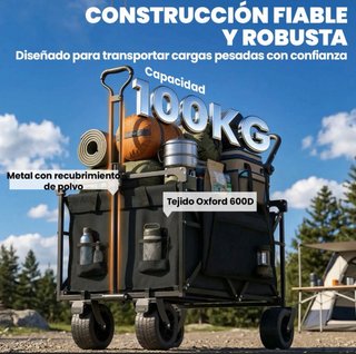 Carro Plegable Negro con Toldo