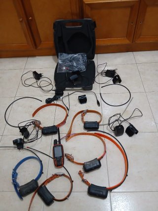 2 Collares Garmin Astro 320