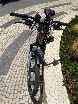 Bicicleta Megamo Gris y Rosa Casi Nueva