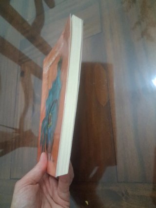 LIBRO DE LECTURA CANTAR DE MIO CID