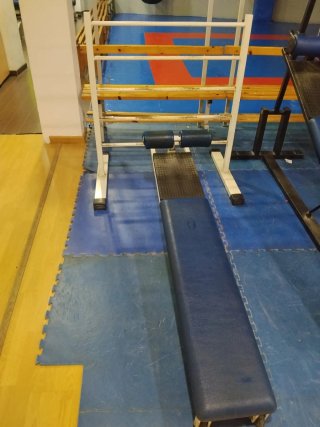 Banco Abdominales Panatta Profesional