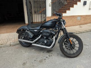 Harley Davidson Sportster 883 Iron. Limitada A2