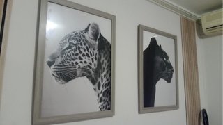 Cuadro de Leopardo y Pantera en Blanco y Negro