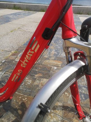 Bicicleta Eléctrica Roja 250w