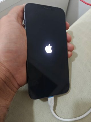 iPhone 12 Pro Max Gris