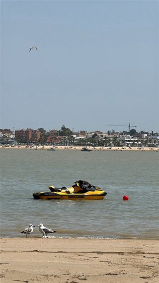 Moto de agua Sea-Doo RXT-X 300cv
