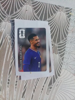 Cromos Panini