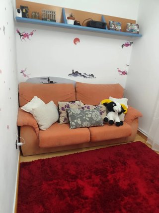 Habitación en piso compartido , con sofá cama.
