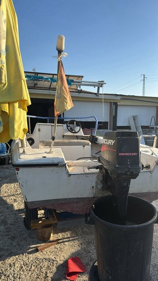 Lancha Taylor Mercury 30cv 4.50m