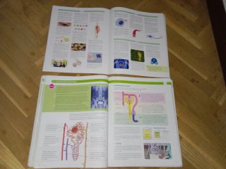 BIOLOGIA Y GEOLOGIA MADRID 3 ESO CONSTRUYENDO M...