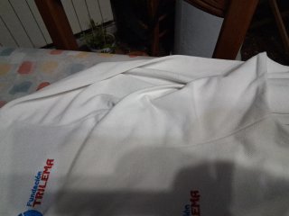 Lote 2 polos M/L  El Carmen Trilema Talla S