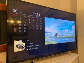 TV Sony Bravia 48 Negra y Plateada