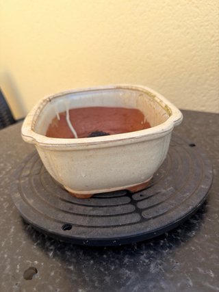 Maceta bonsai cerámica beige