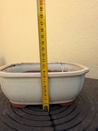 Maceta bonsai cerámica beige