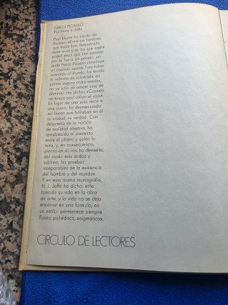 Libro De Picasso