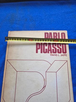 Libro De Picasso