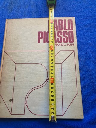 Libro De Picasso