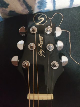 Guitarra acústica Greg Bennett