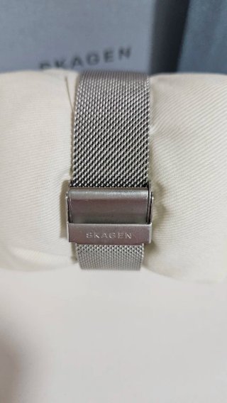 Reloj Skagen Azul y Plateado