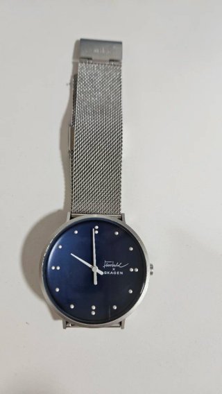 Reloj Skagen Azul y Plateado
