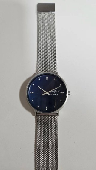 Reloj Skagen Azul y Plateado