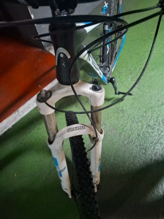Bicicleta HEAD X-Rubi II 29