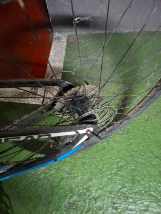 Bicicleta HEAD X-Rubi II 29
