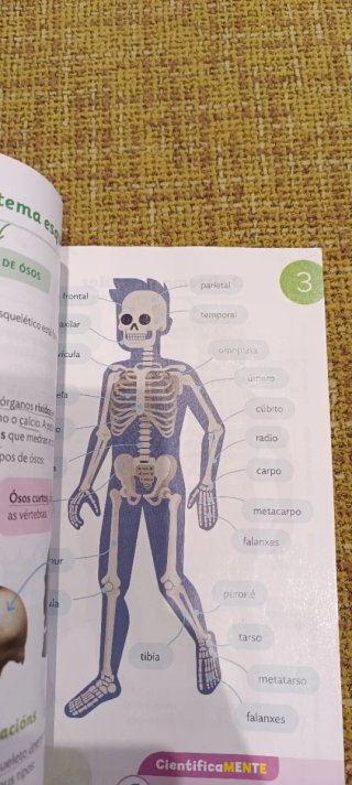 Ciencias da naturaleza, 6 Primaria, Proxecto Co...