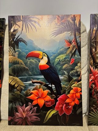 3 Cuadros Decorativos Estilo Tropical