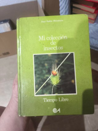 Mi colección de insectos