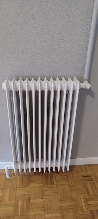 Servicio de Pintura Profesional