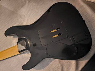 Schecter Damien Elite FR Guitarra Eléctrica