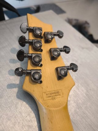 Schecter Damien Elite FR Guitarra Eléctrica