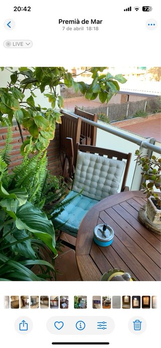 Mesa Teca Balcón/Jardín Extensible + 4 sillas