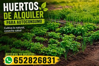 Huertos de alquiler para autoconsumo