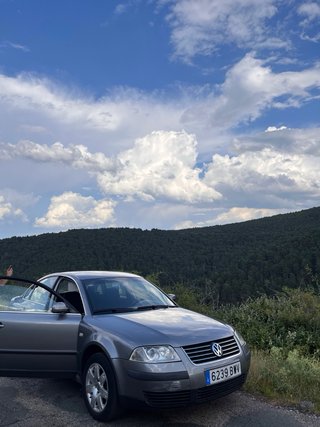 Volkswagen Passat 2002