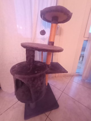 Árbol para gatos con varios niveles
