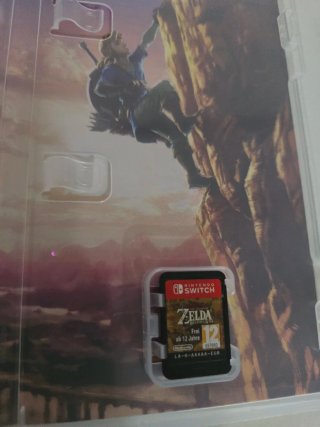 Zelda Breath of the Wild per Nintendo Switch