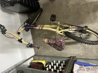 Bicicleta Raleigh Chic 20” - Casi nueva