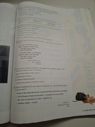 Lengua castellana y literatura 1 Secundaria