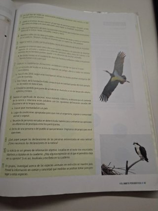 Lengua castellana y literatura 1 Secundaria