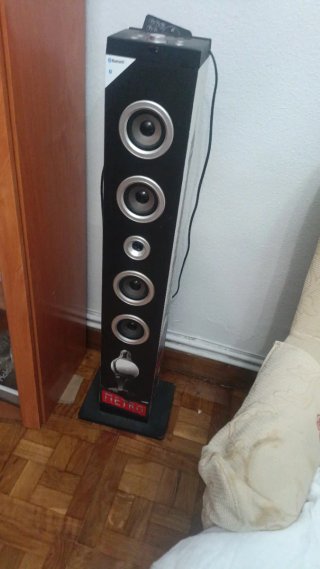Torre de Sonido Bluetooth Negra y Plateada