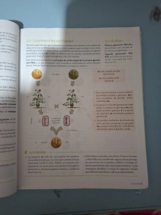 Biología y Geología 4 ESO