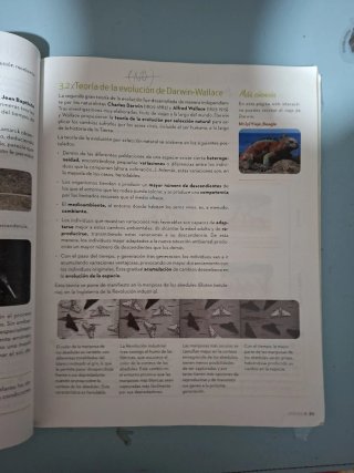 Biología y Geología 4 ESO