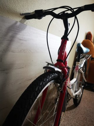 Bicicleta infantil 24 pulgadas