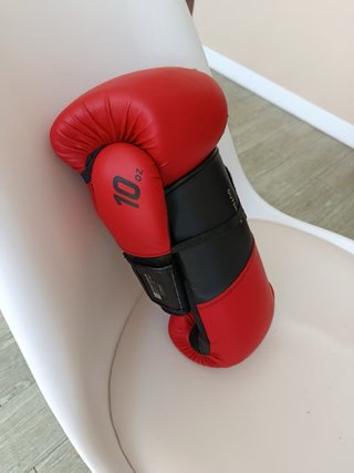 Guantes de Boxeo Rojos 10 oz