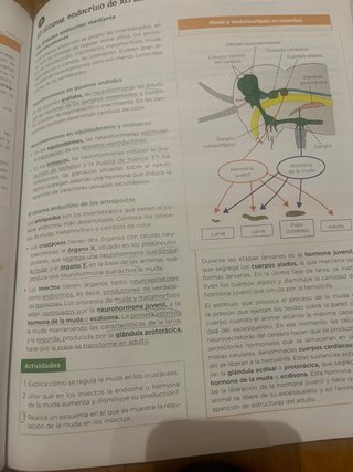 Biología, Geología y Ciencias Ambientales 1 Bac...