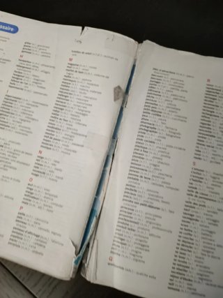 Allez! Livre de l'élève et cahier. Per la Scuol...