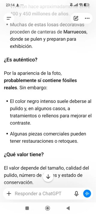 Piedra Antigua Fósil