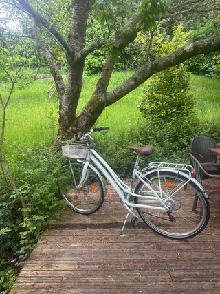Bicicleta verde menta